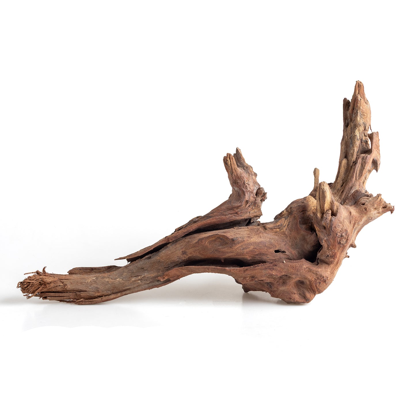 WYSIWYG Premium Natural Driftwood for Aquascaping – Exact Piece Shown A1