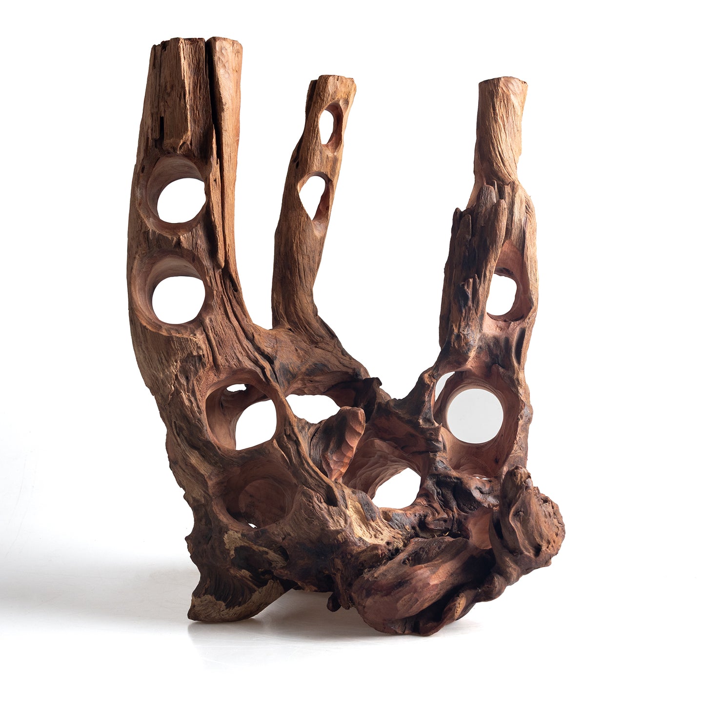 WYSIWYG Premium Natural Driftwood for Aquascaping – Exact Piece Shown A21