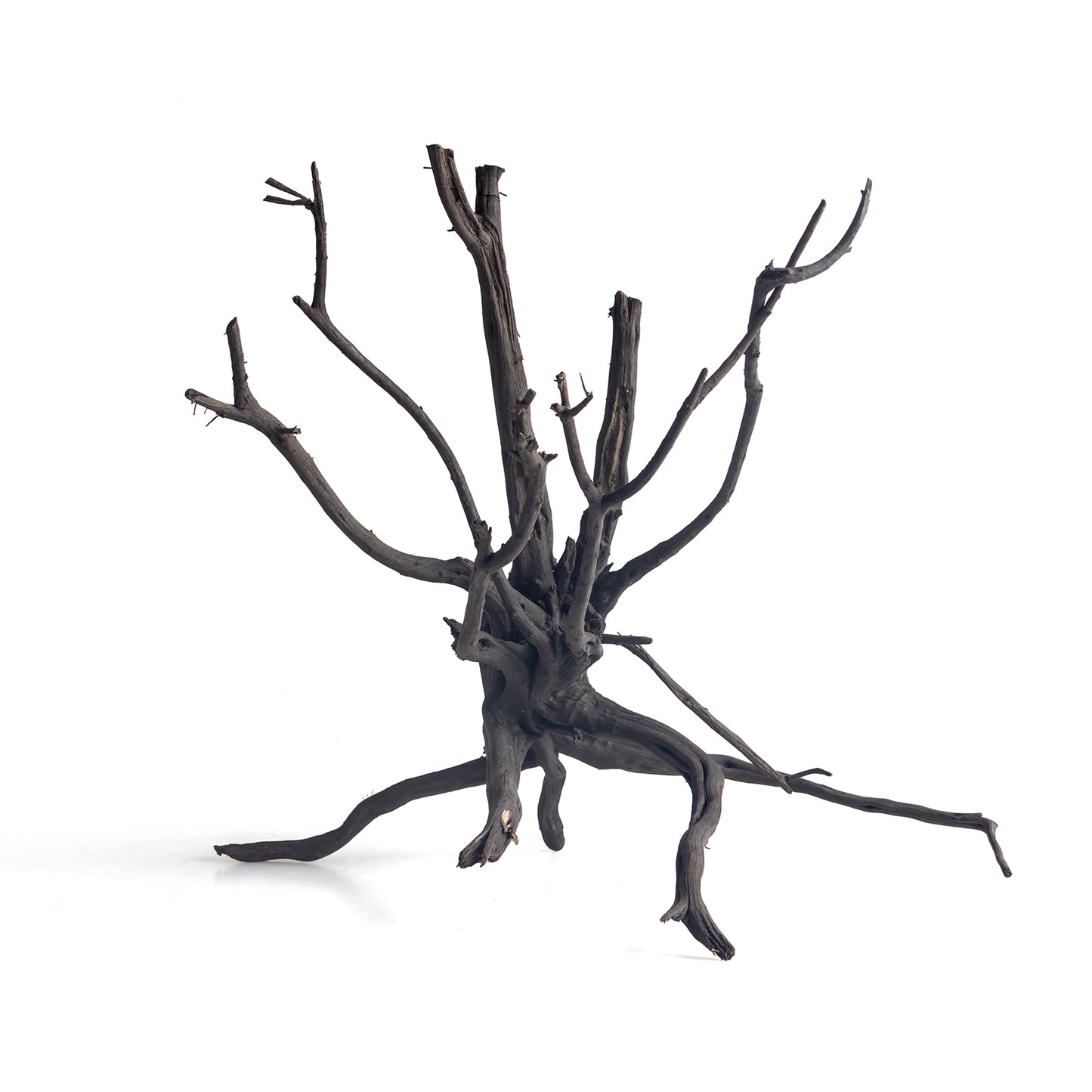 Natural Black Spider Wood Driftwood for Aquariums & Terrariums – Random Shape, 3 Sizes