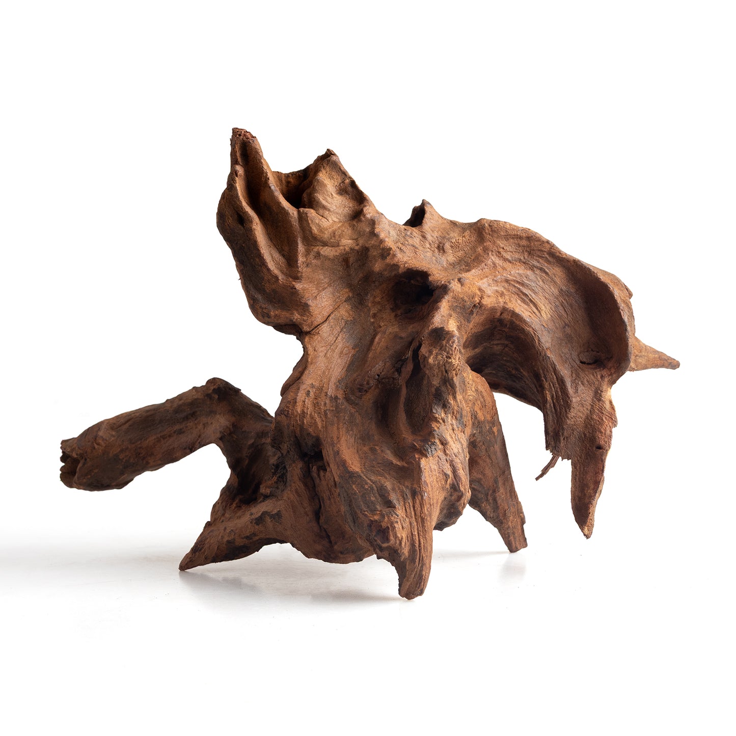 Small Natural Driftwood 5-Pack, 4–6 Inch Aquarium Wood for Aquascaping, Fish Tanks & Terrariums