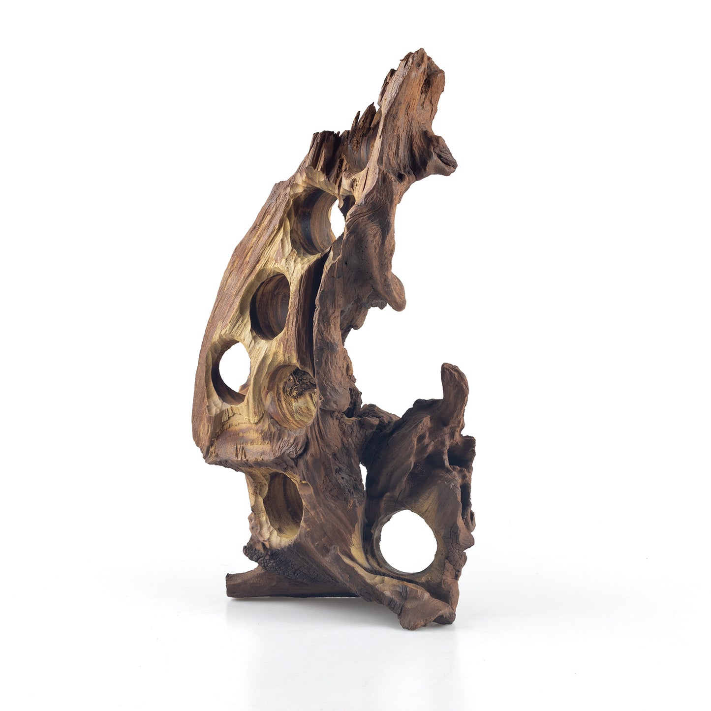 WYSIWYG Premium Natural Driftwood for Aquascaping – Exact Piece Shown A5