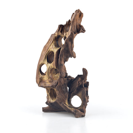 WYSIWYG Premium Natural Driftwood for Aquascaping – Exact Piece Shown A5