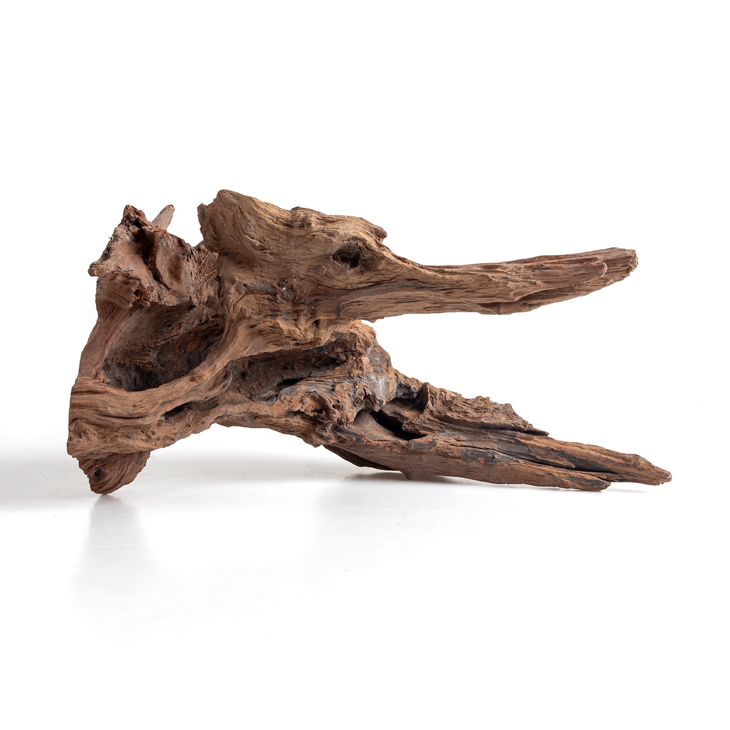 WYSIWYG Premium Natural Driftwood for Aquascaping – Exact Piece Shown A4