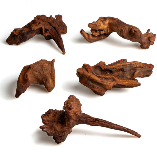 Small Natural Driftwood 5-Pack, 4–6 Inch Aquarium Wood for Aquascaping, Fish Tanks & Terrariums