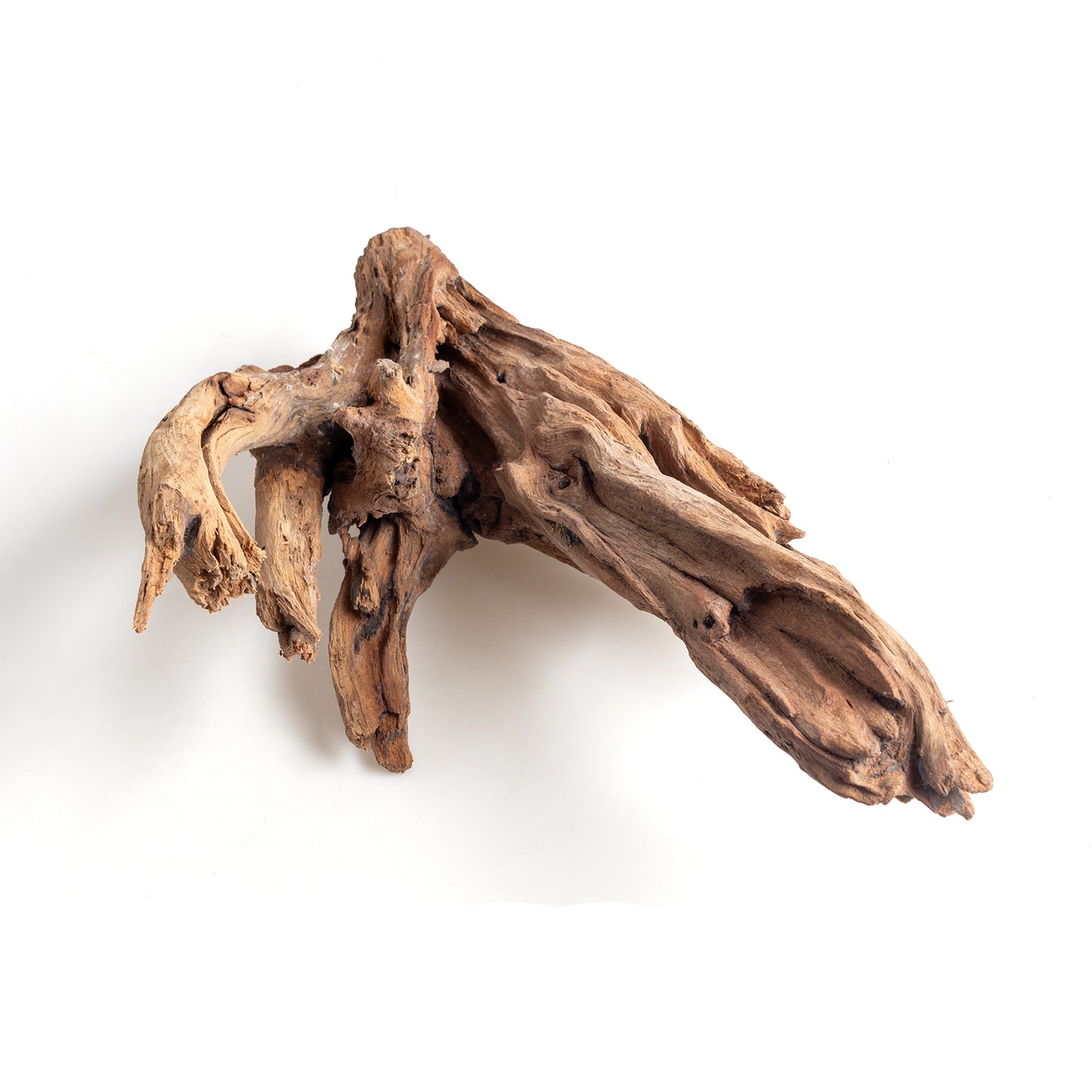 WYSIWYG Premium Natural Driftwood for Aquascaping – Exact Piece Shown A2