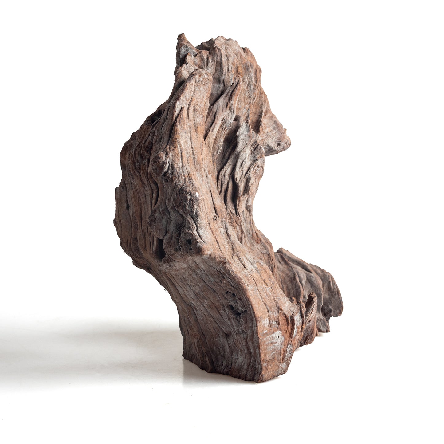 WYSIWYG Premium Natural Driftwood for Aquascaping – Exact Piece Shown A11