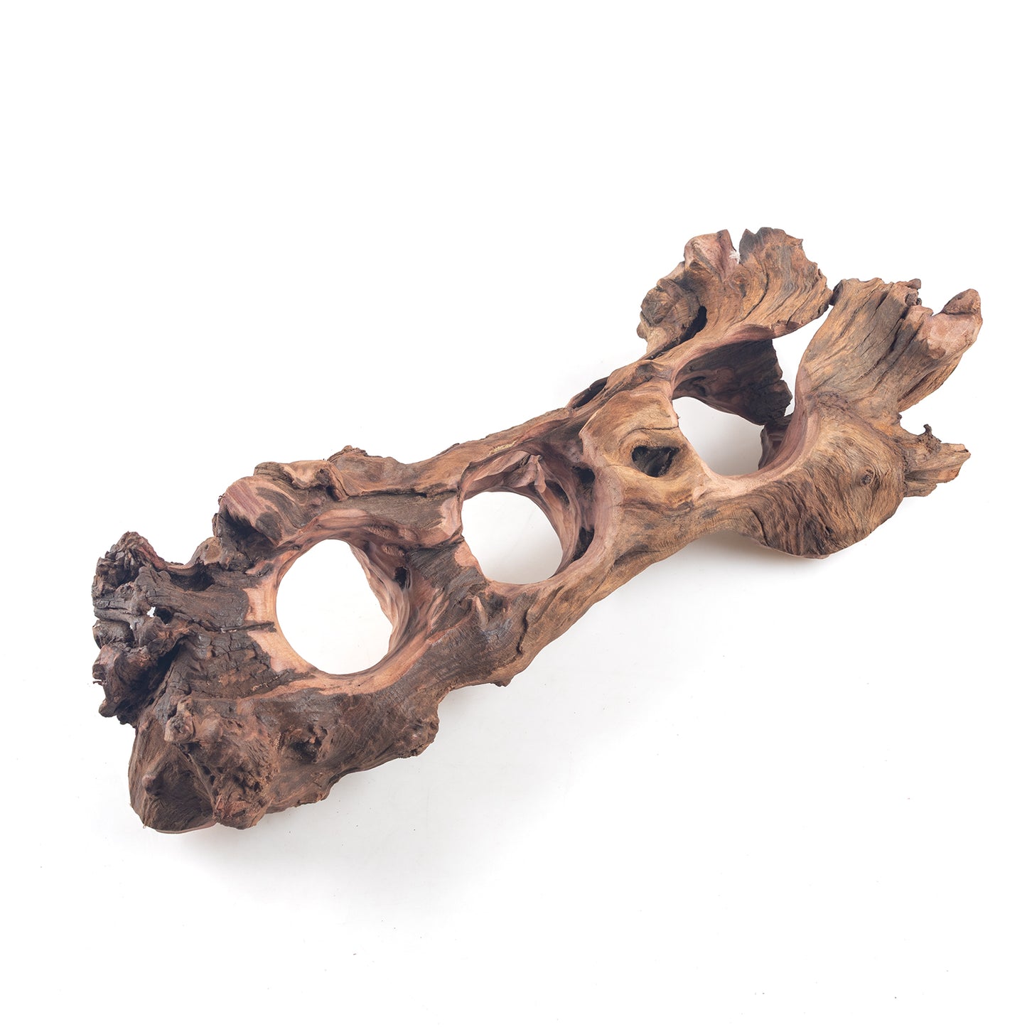 WYSIWYG Premium Natural Driftwood for Aquascaping – Exact Piece Shown A10
