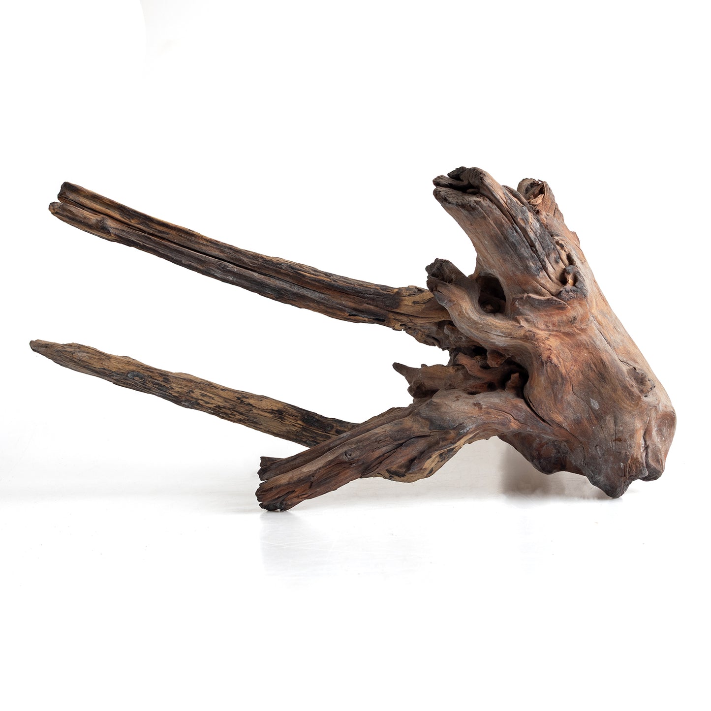 WYSIWYG Premium Natural Driftwood for Aquascaping – Exact Piece Shown A7