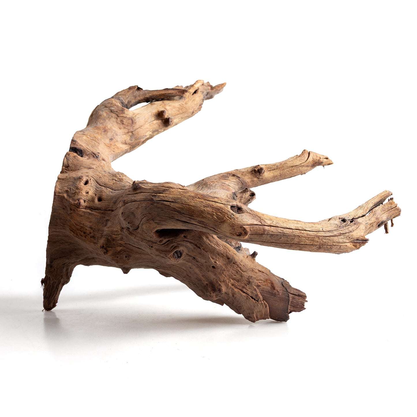 WYSIWYG Premium Natural Driftwood for Aquascaping – Exact Piece Shown A3