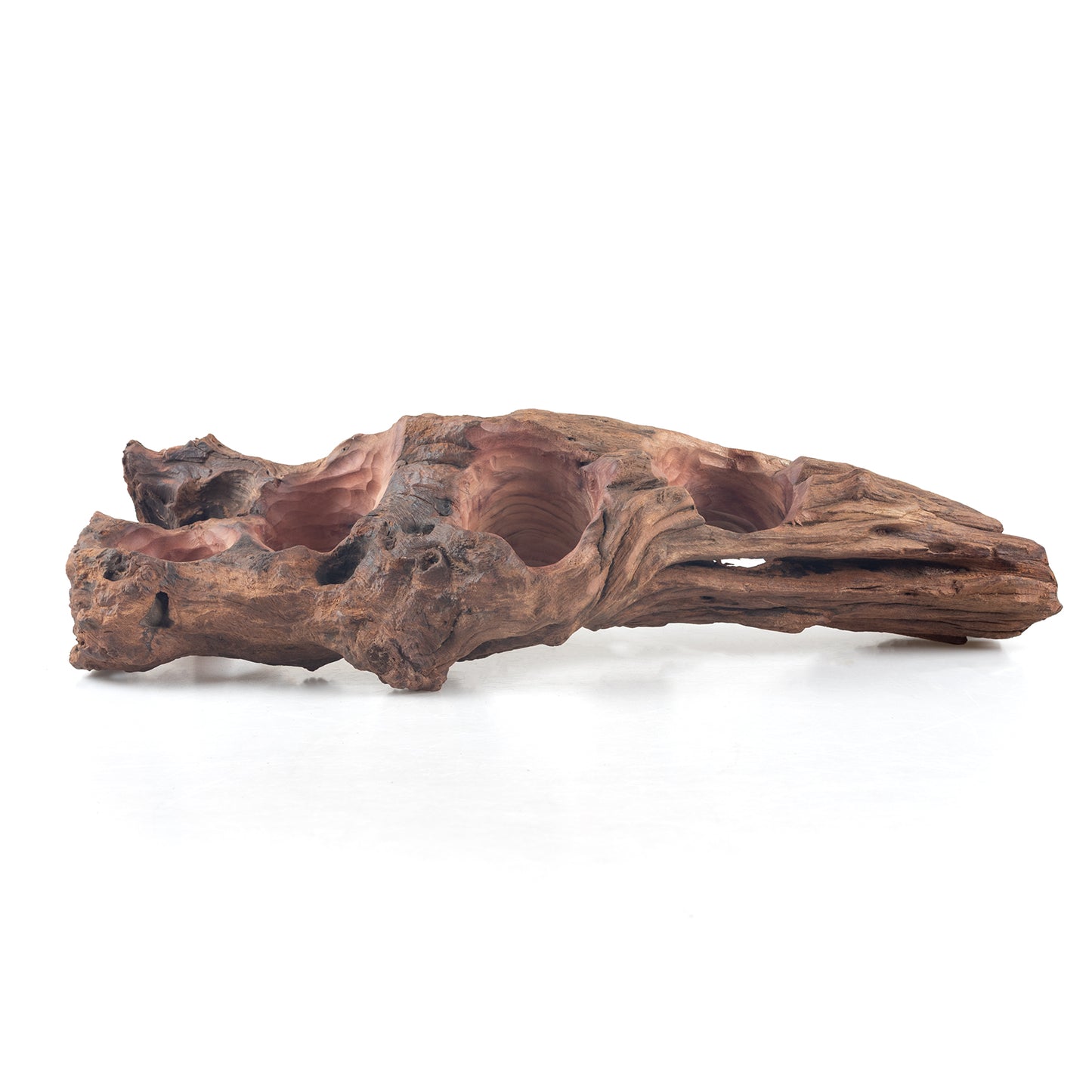 WYSIWYG Premium Natural Driftwood for Aquascaping – Exact Piece Shown A8