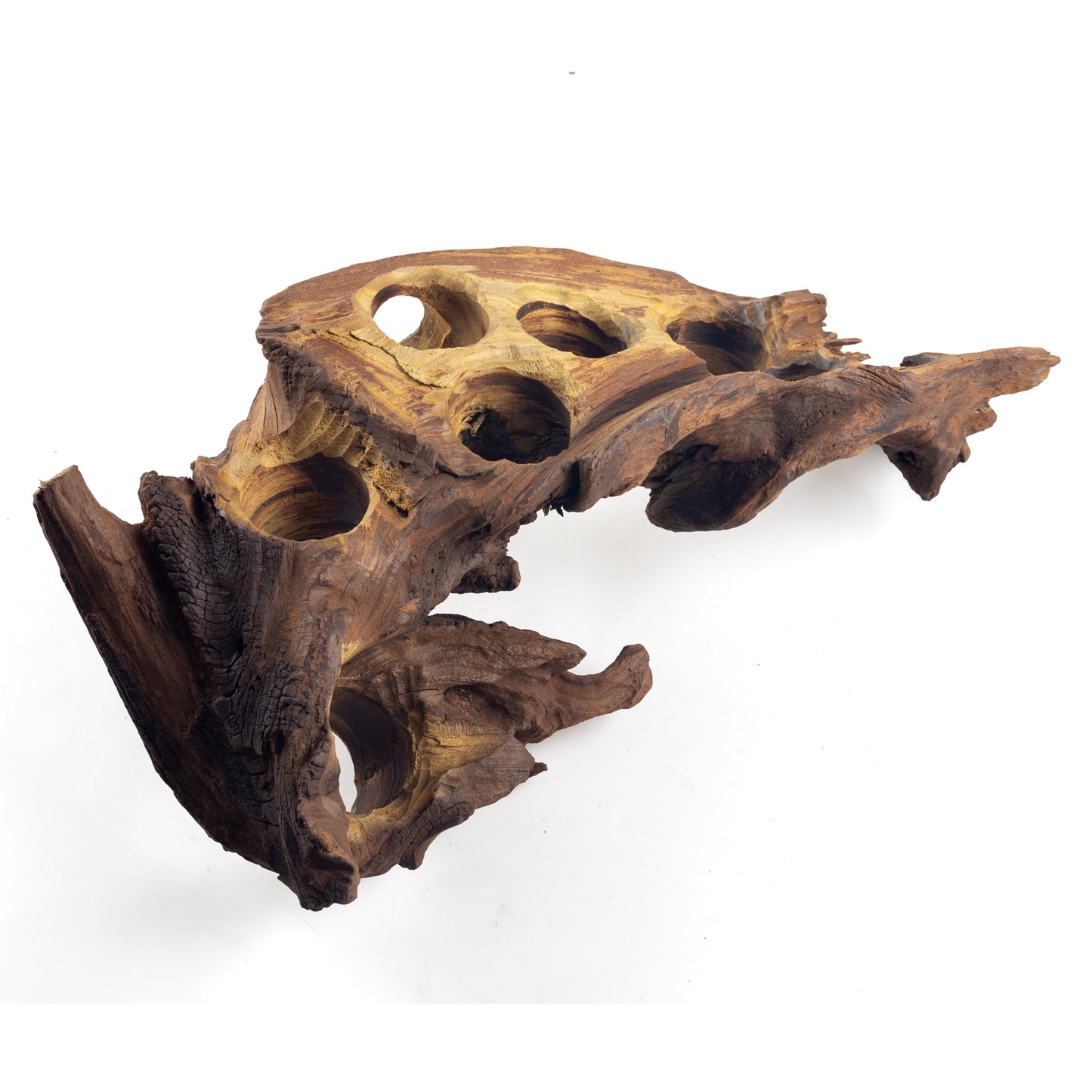 WYSIWYG Premium Natural Driftwood for Aquascaping – Exact Piece Shown A5