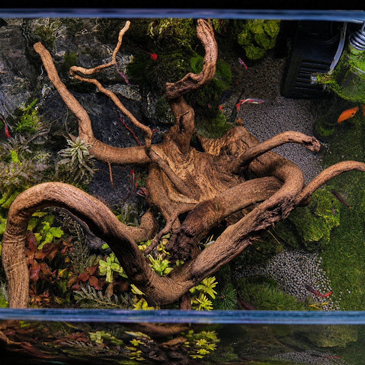 Natural Spider Wood Driftwood for Aquariums & Terrariums – Random Shape, 3 Sizes