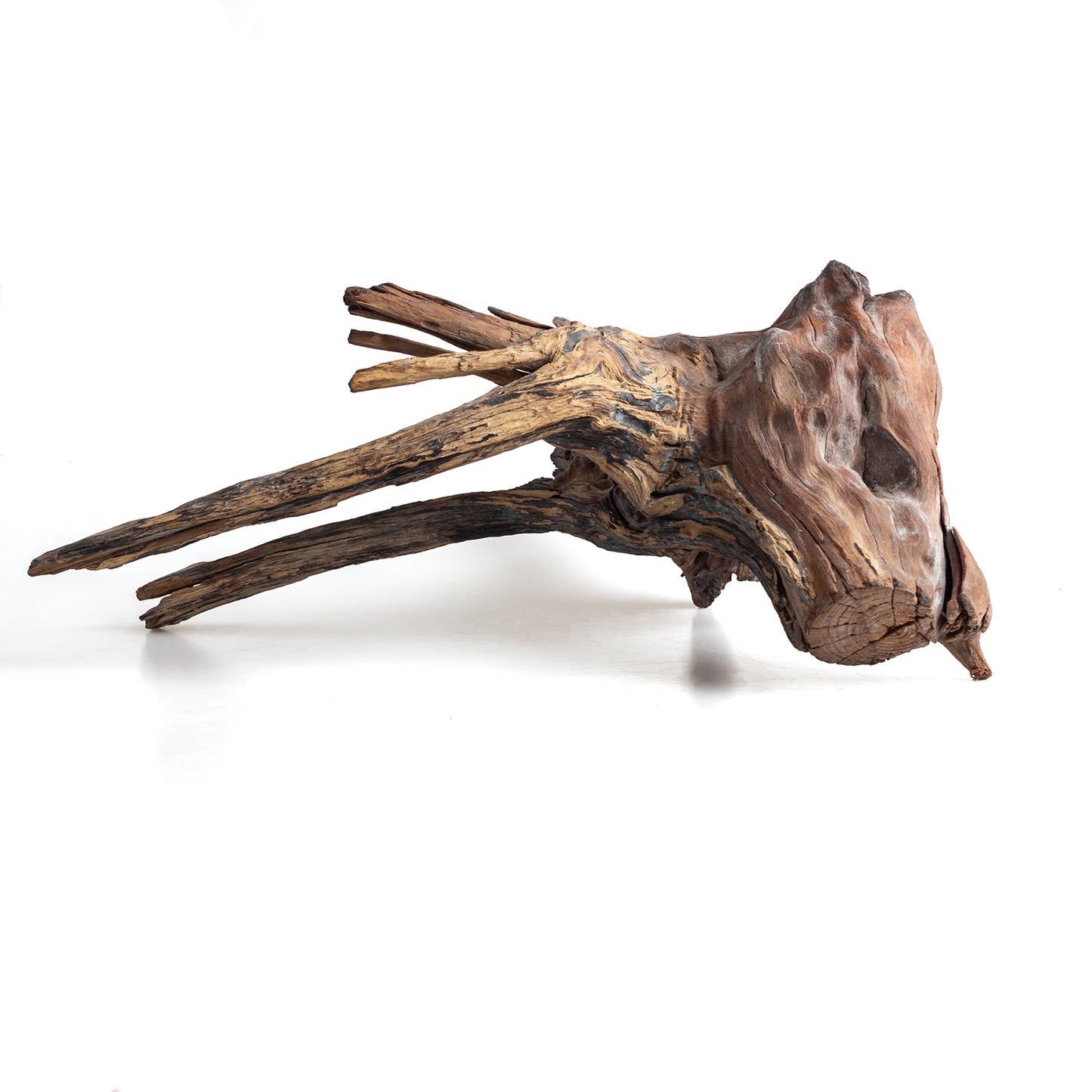 WYSIWYG Premium Natural Driftwood for Aquascaping – Exact Piece Shown A7