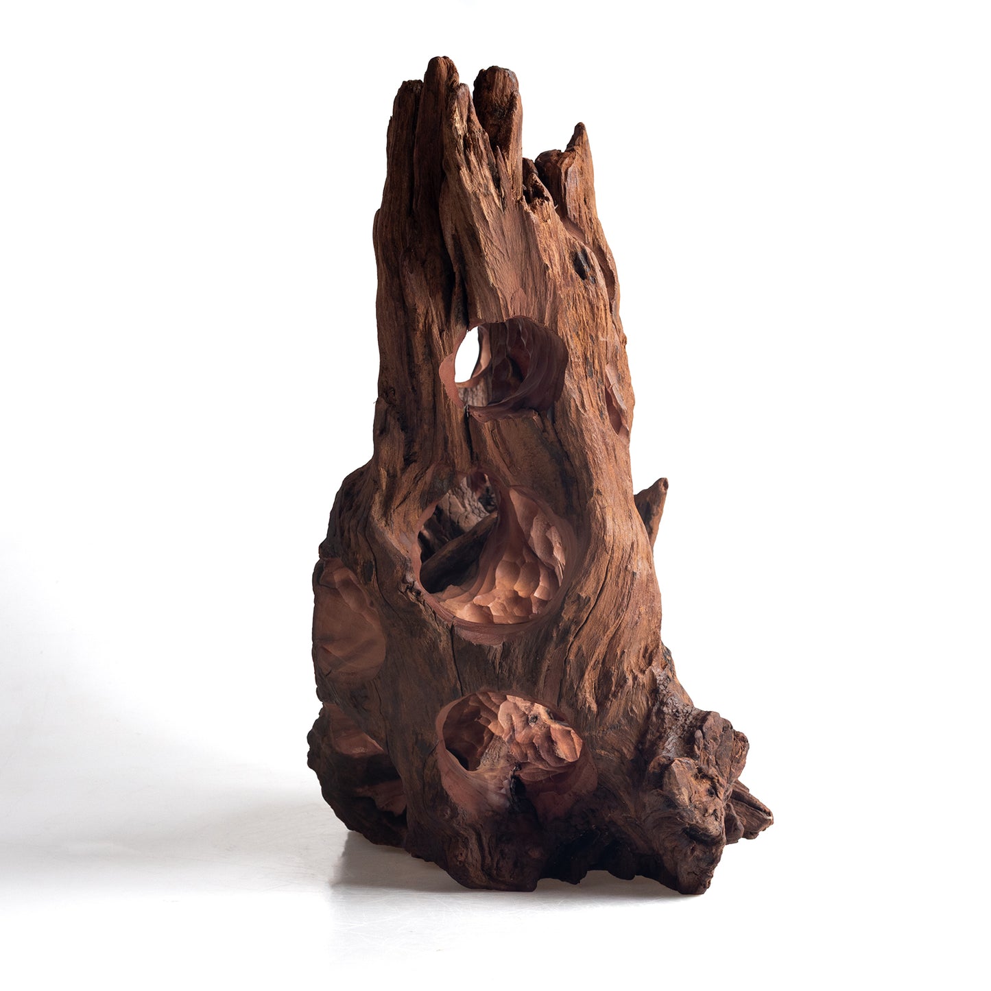 WYSIWYG Premium Natural Driftwood for Aquascaping – Exact Piece Shown A18