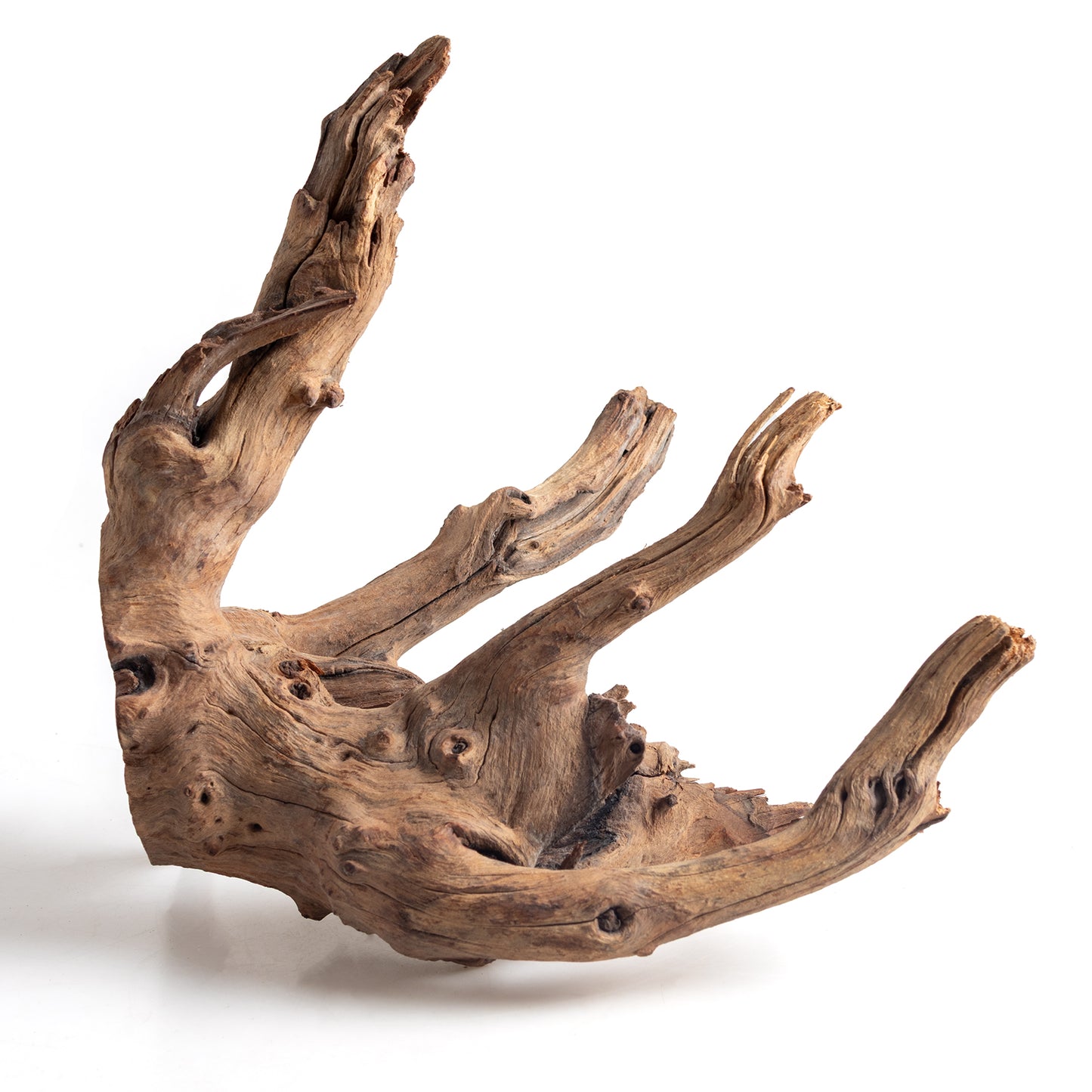 WYSIWYG Premium Natural Driftwood for Aquascaping – Exact Piece Shown A3
