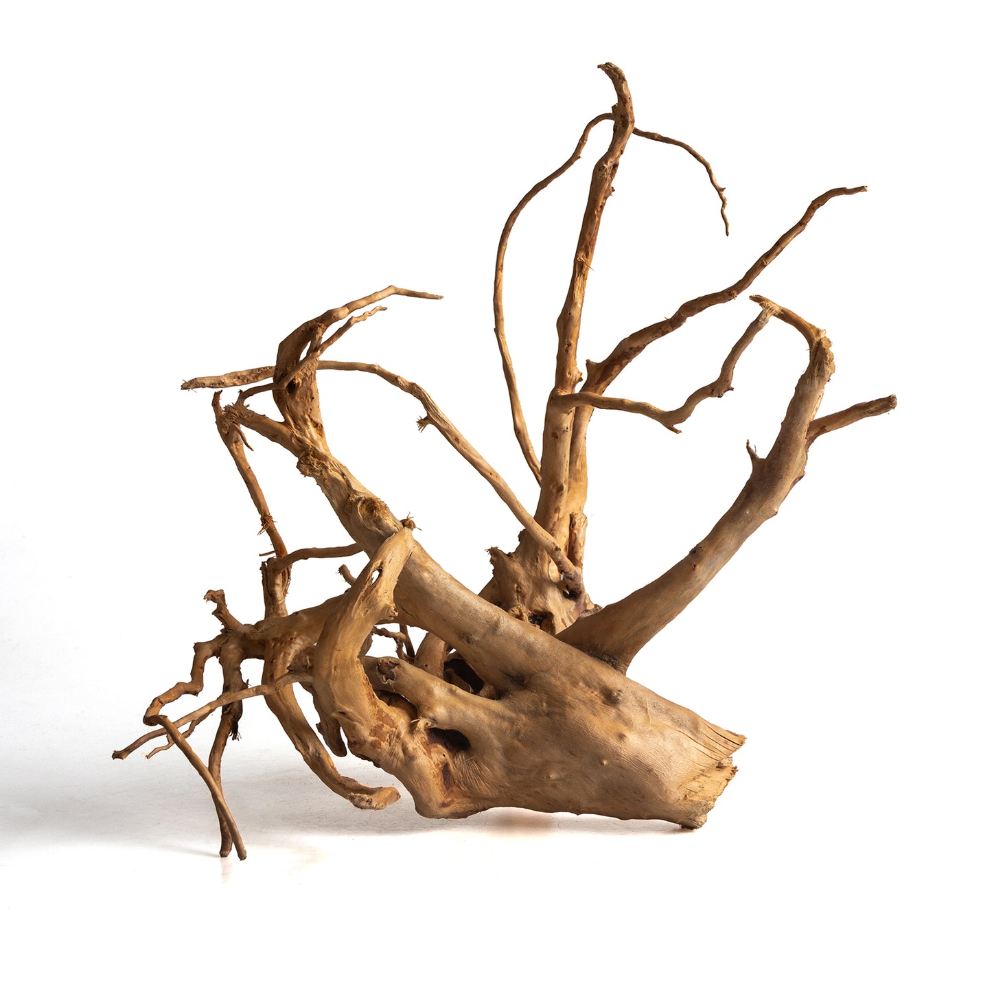 Natural Spider Wood Driftwood for Aquariums & Terrariums – Random Shape, 3 Sizes