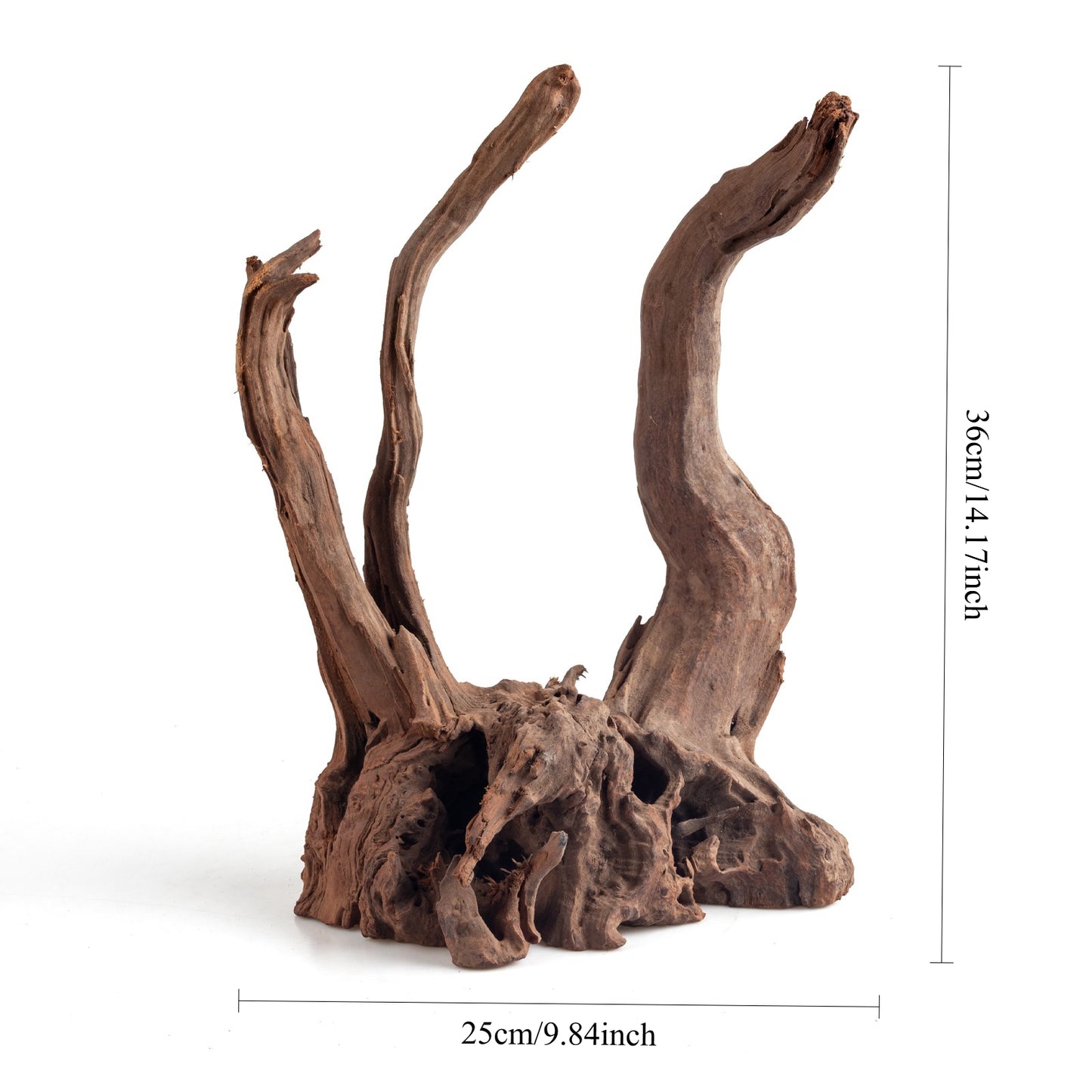 WYSIWYG Premium Natural Driftwood for Aquascaping – Exact Piece Shown A6
