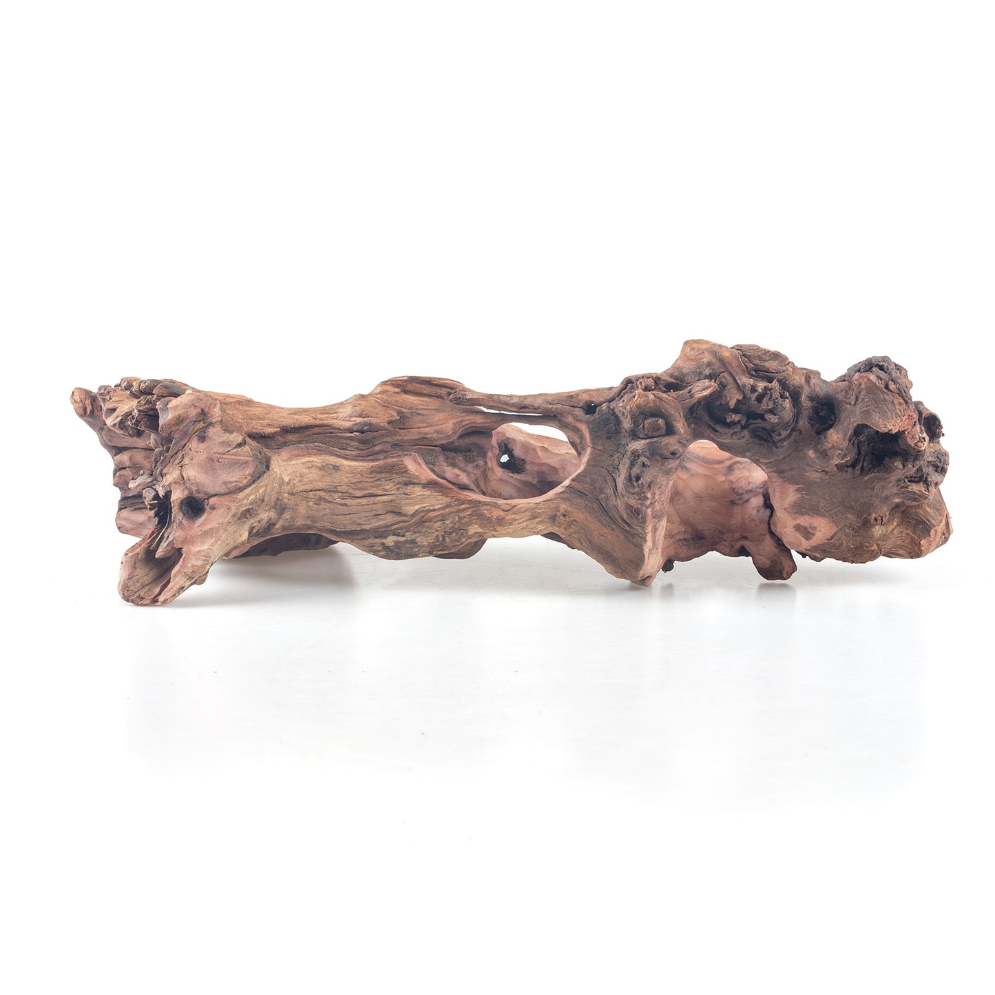 WYSIWYG Premium Natural Driftwood for Aquascaping – Exact Piece Shown A10