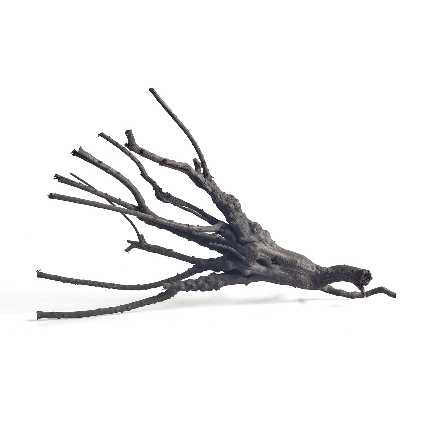 Natural Black Spider Wood Driftwood for Aquariums & Terrariums – Random Shape, 3 Sizes