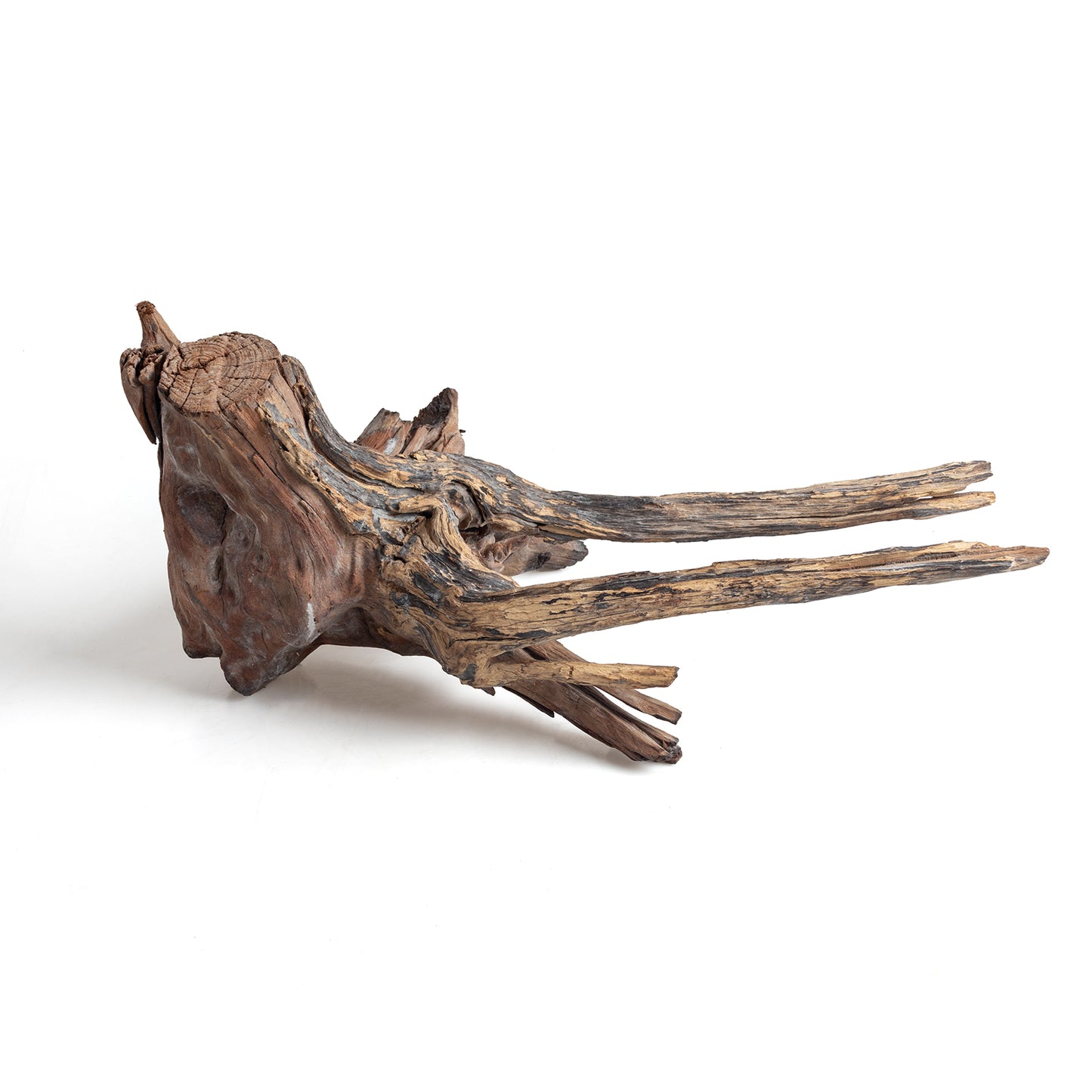 WYSIWYG Premium Natural Driftwood for Aquascaping – Exact Piece Shown A7
