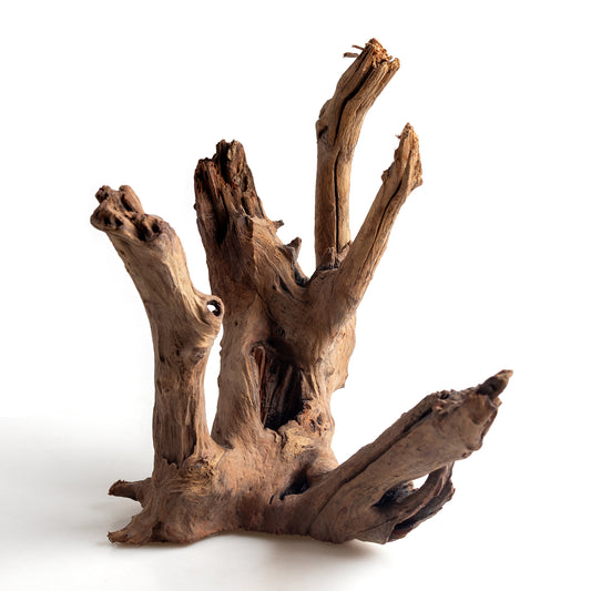 WYSIWYG Premium Natural Driftwood for Aquascaping – Exact Piece Shown A3
