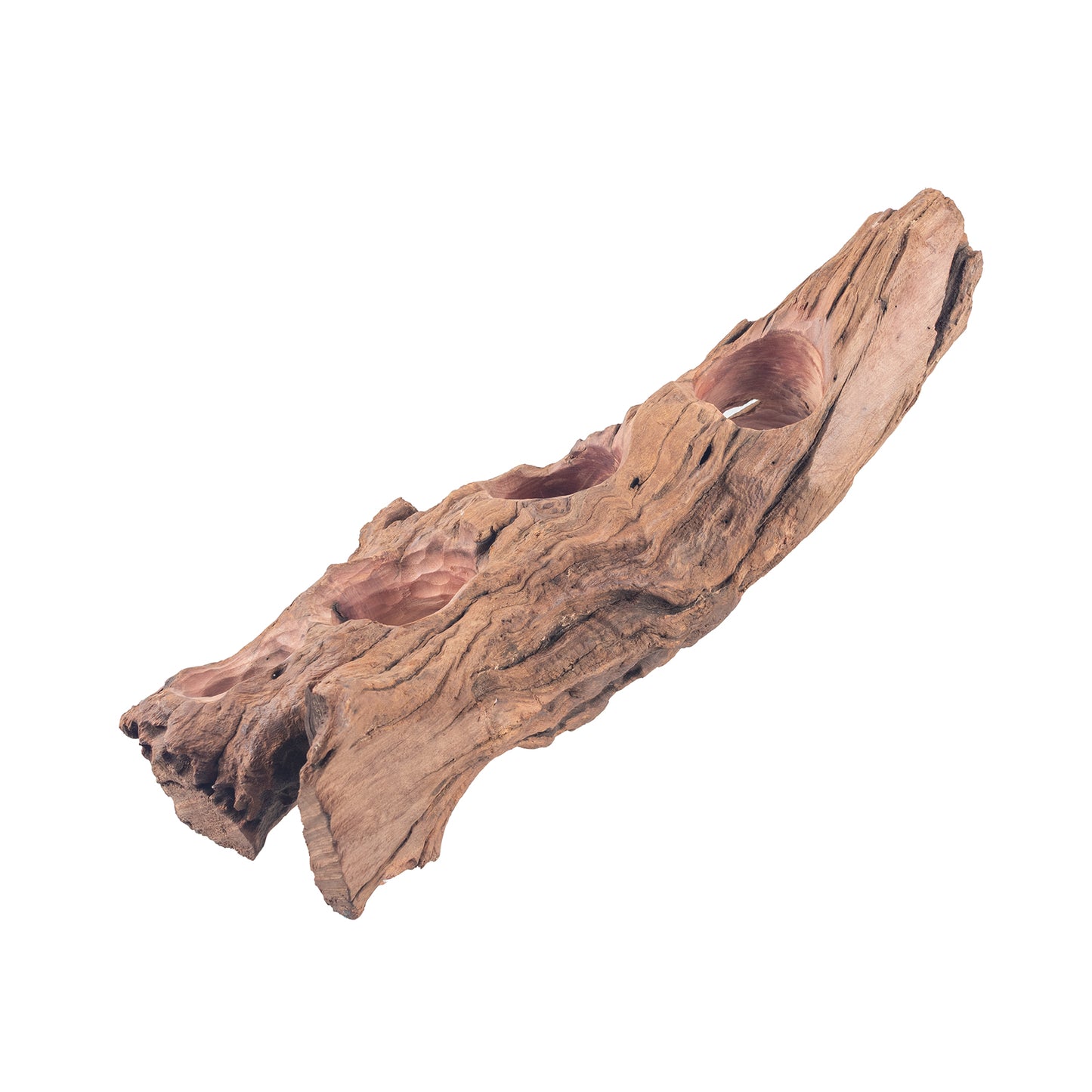 WYSIWYG Premium Natural Driftwood for Aquascaping – Exact Piece Shown A8