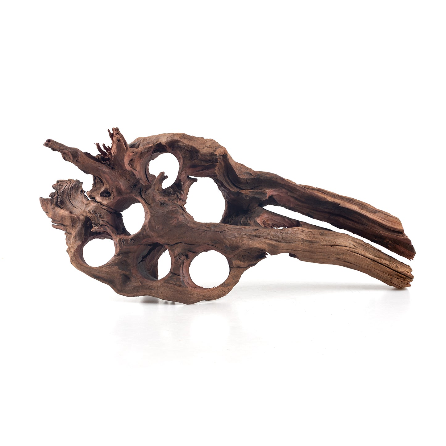 WYSIWYG Premium Natural Driftwood for Aquascaping – Exact Piece Shown A9