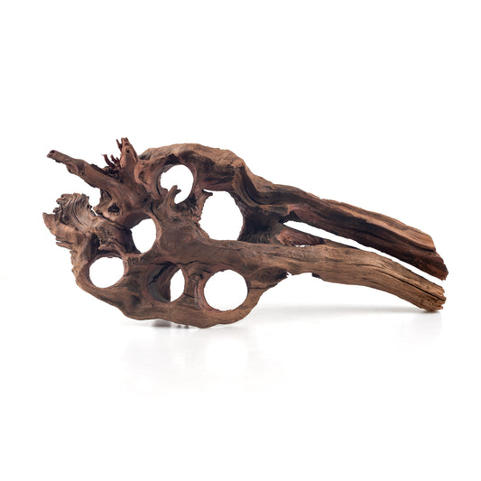 WYSIWYG Premium Natural Driftwood for Aquascaping – Exact Piece Shown A9