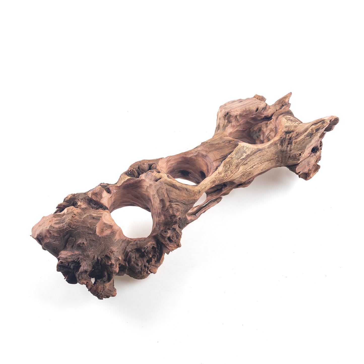 WYSIWYG Premium Natural Driftwood for Aquascaping – Exact Piece Shown A10