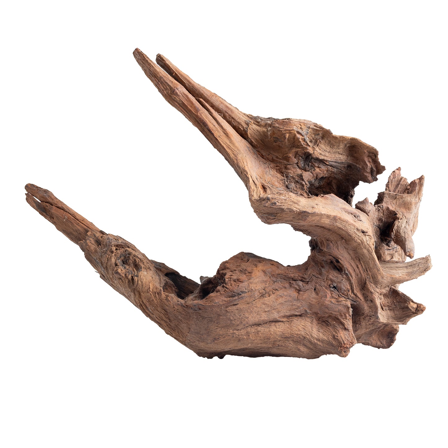 WYSIWYG Premium Natural Driftwood for Aquascaping – Exact Piece Shown A4