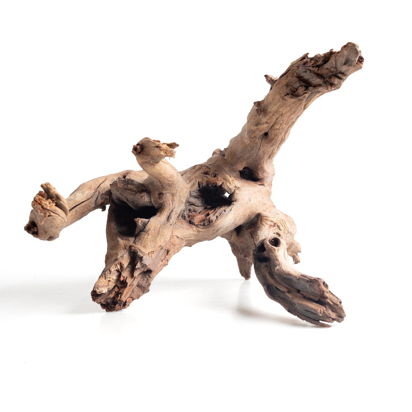 WYSIWYG Premium Natural Driftwood for Aquascaping – Exact Piece Shown A3