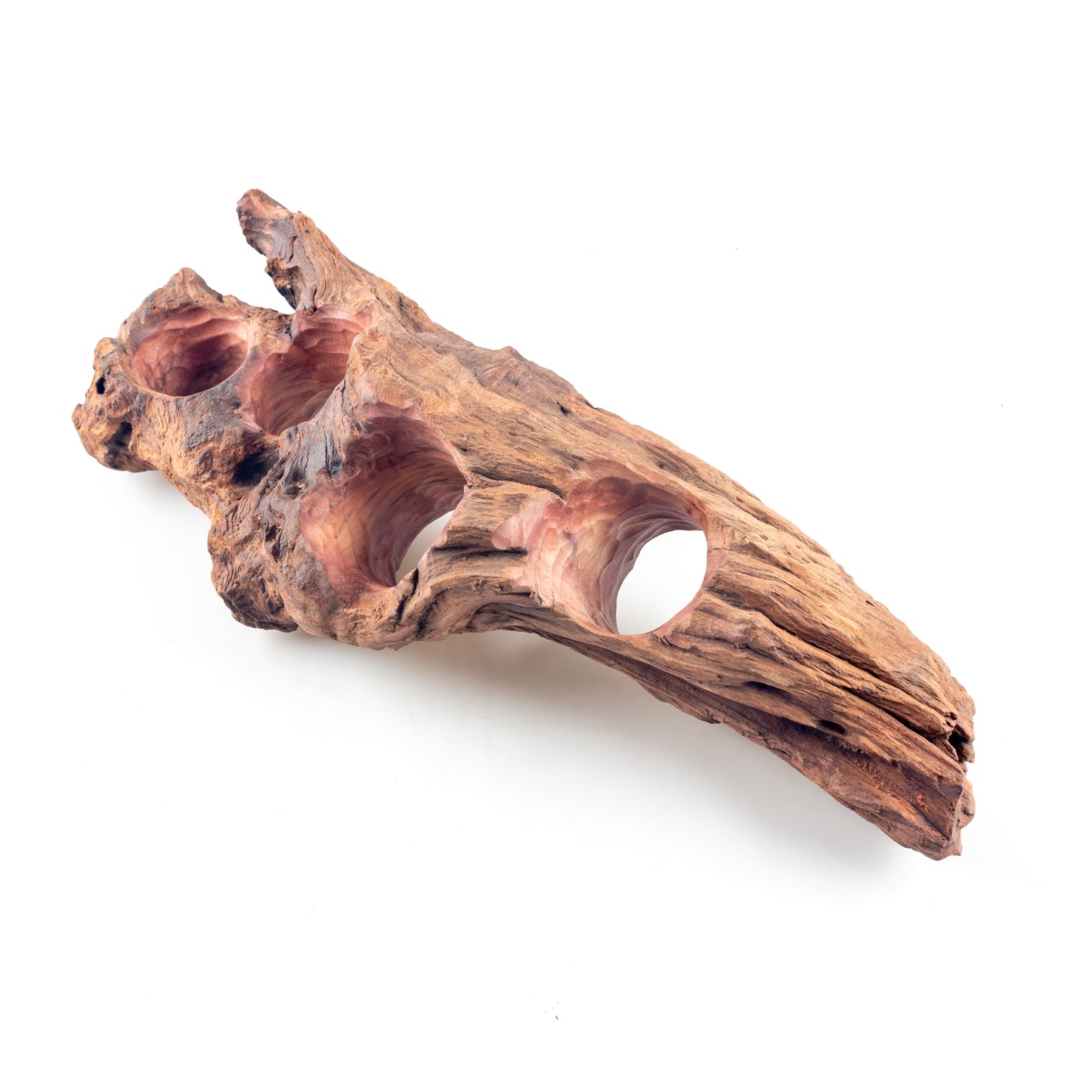 WYSIWYG Premium Natural Driftwood for Aquascaping – Exact Piece Shown A8
