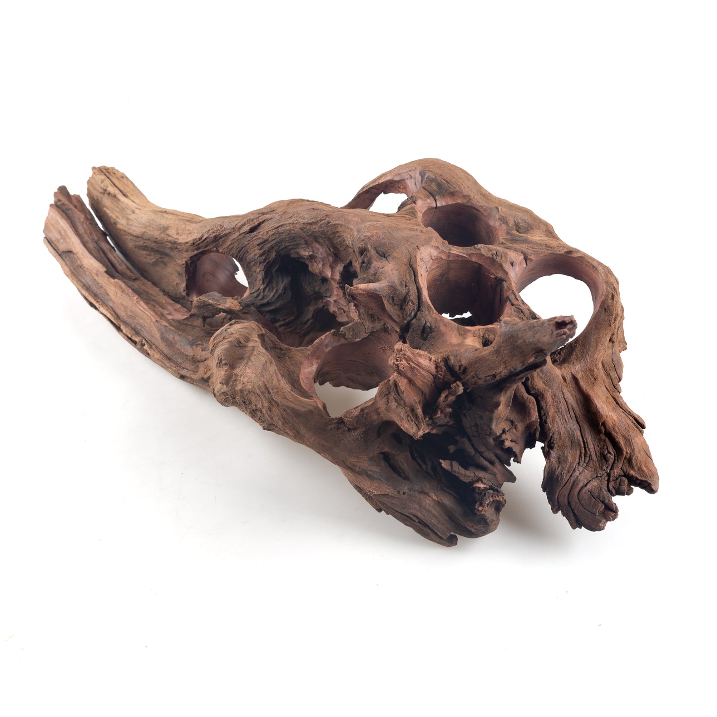 WYSIWYG Premium Natural Driftwood for Aquascaping – Exact Piece Shown A9