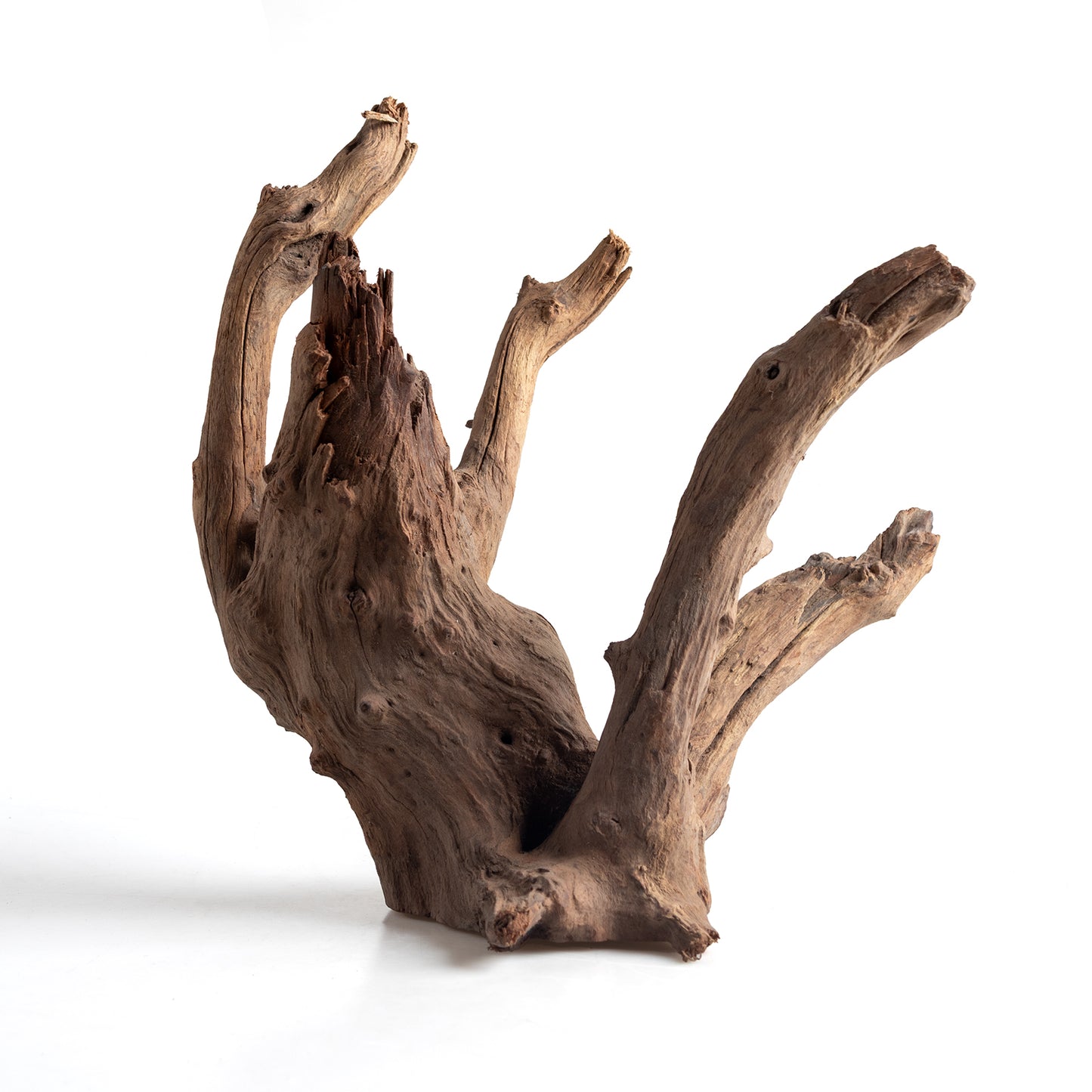 WYSIWYG Premium Natural Driftwood for Aquascaping – Exact Piece Shown A3