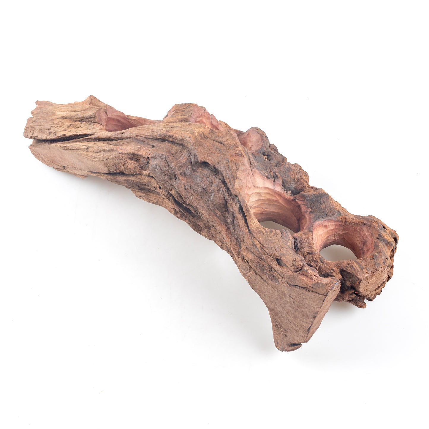 WYSIWYG Premium Natural Driftwood for Aquascaping – Exact Piece Shown A8