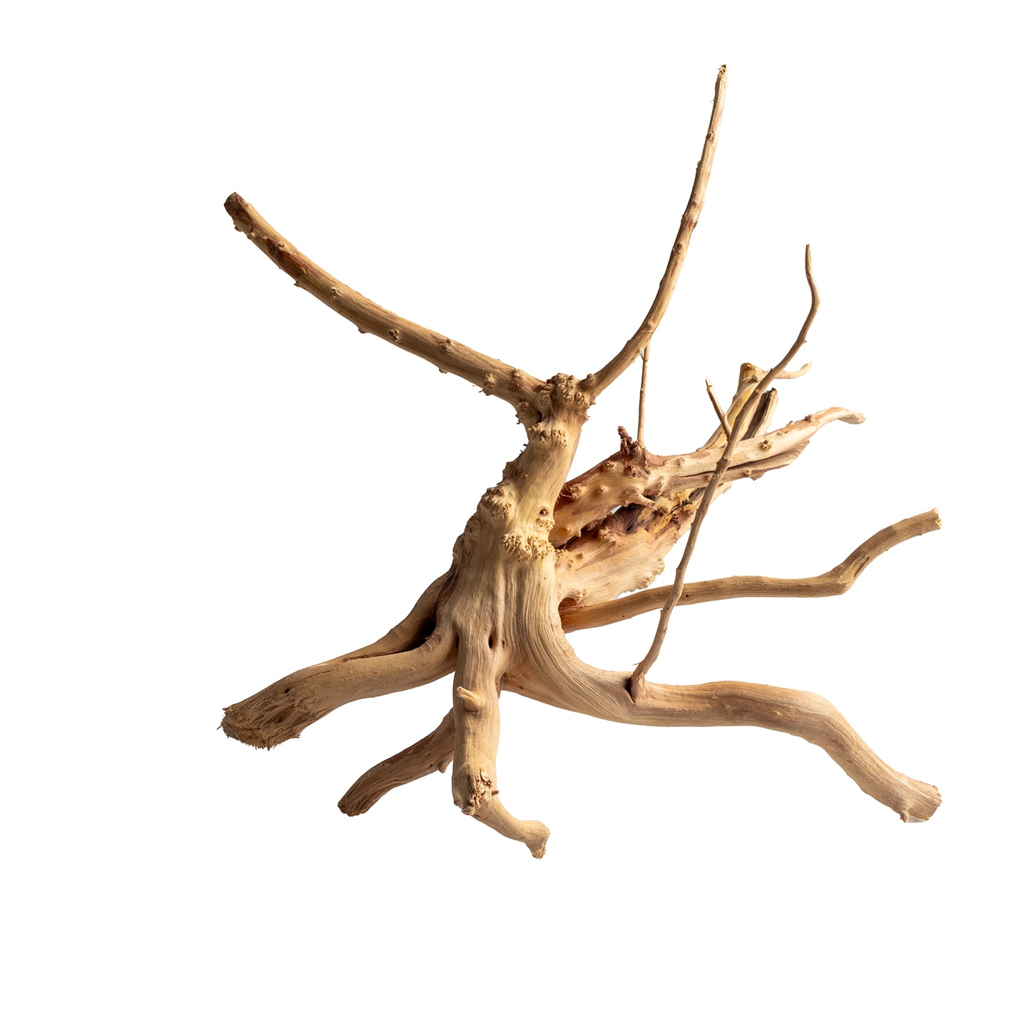 Natural Wood Root Driftwood for Aquariums & Terrariums – Random Unique Shape, 3 Sizes