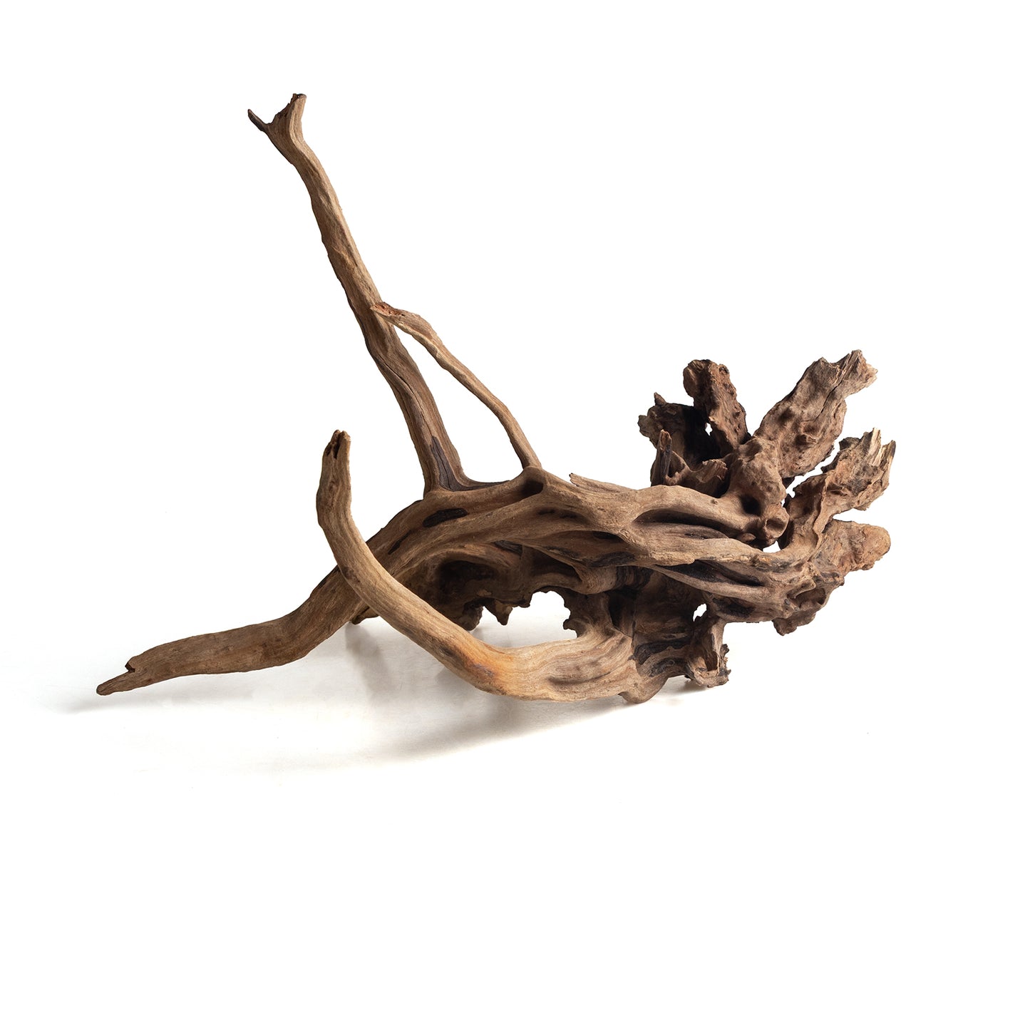 Natural Black Slim Wood Driftwood for Aquariums & Terrariums – Random Shape, 3 Sizes