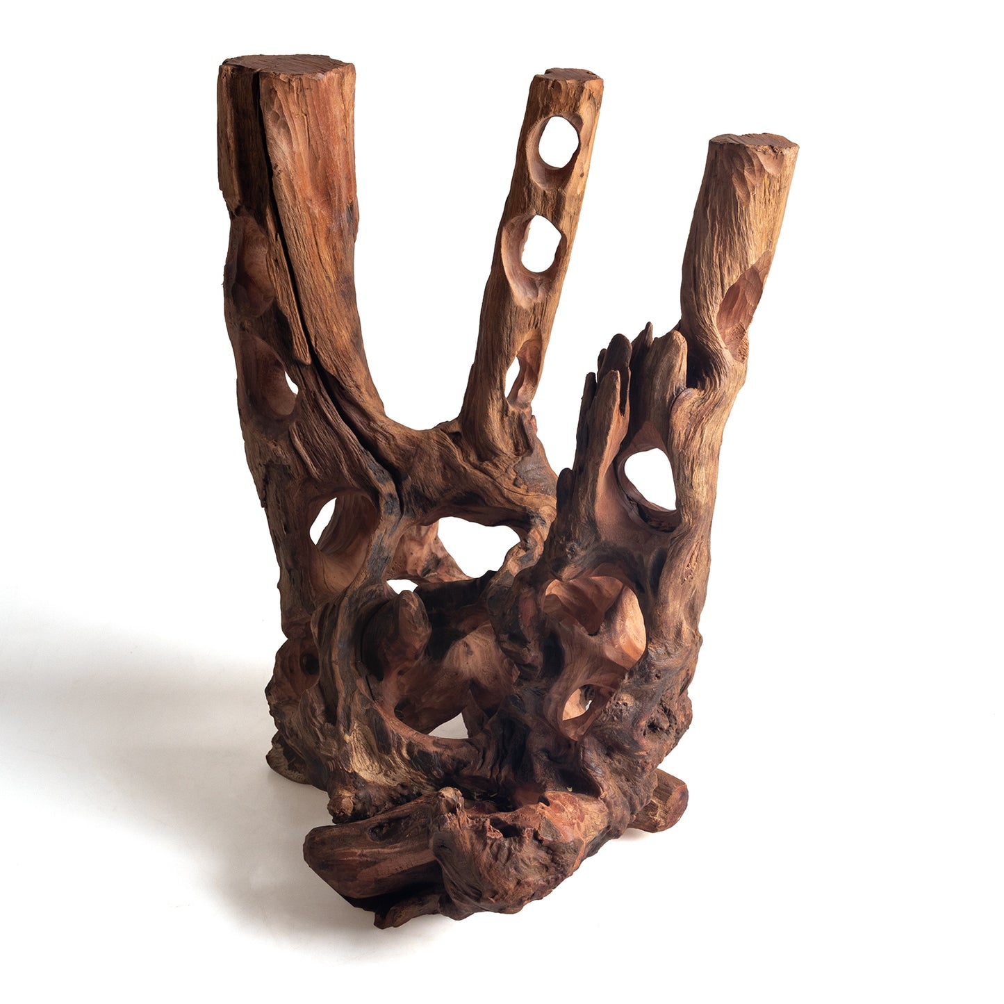 WYSIWYG Premium Natural Driftwood for Aquascaping – Exact Piece Shown A21