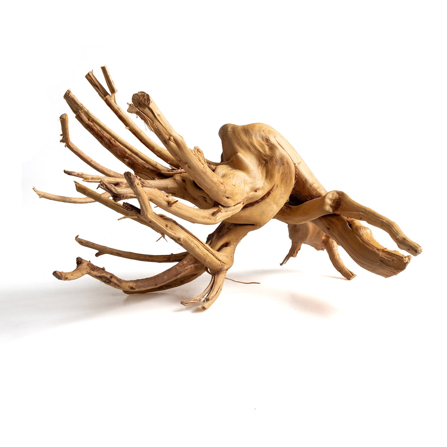 Natural Wood Root Driftwood for Aquariums & Terrariums – Random Unique Shape, 3 Sizes