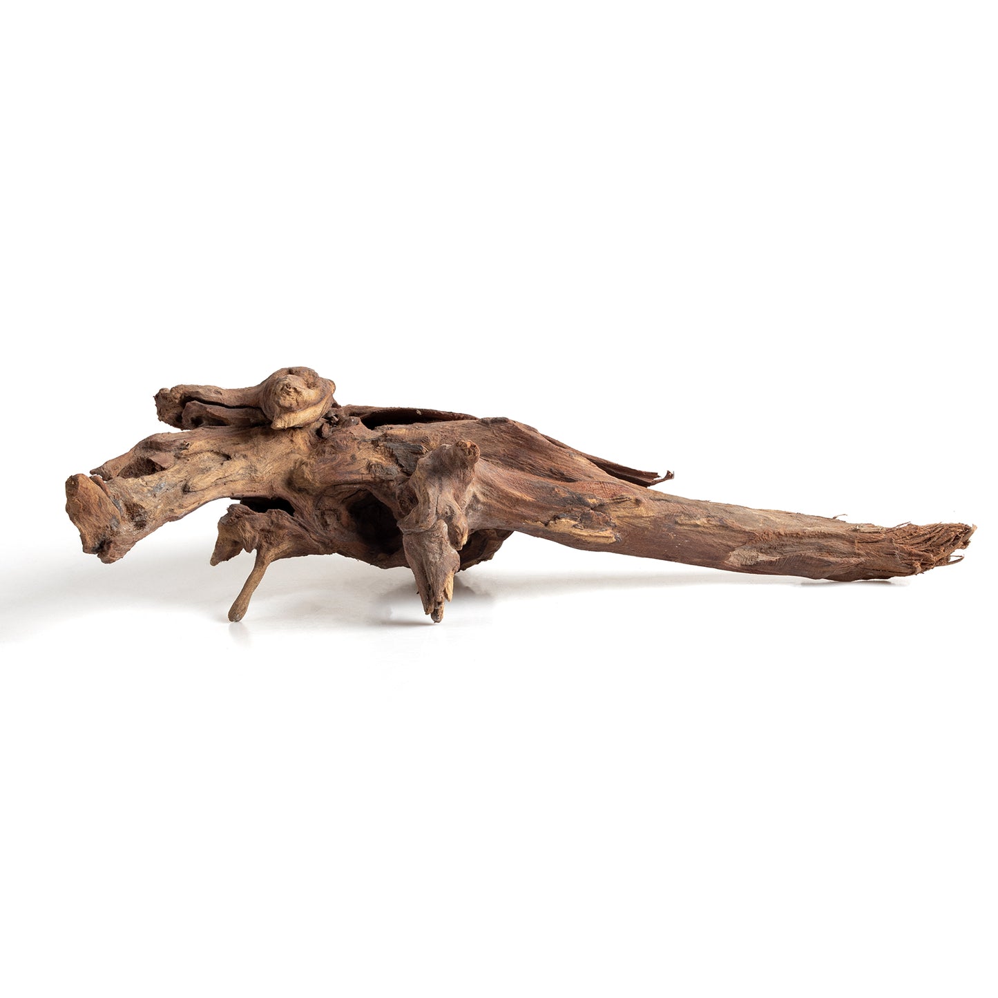 WYSIWYG Premium Natural Driftwood for Aquascaping – Exact Piece Shown A1