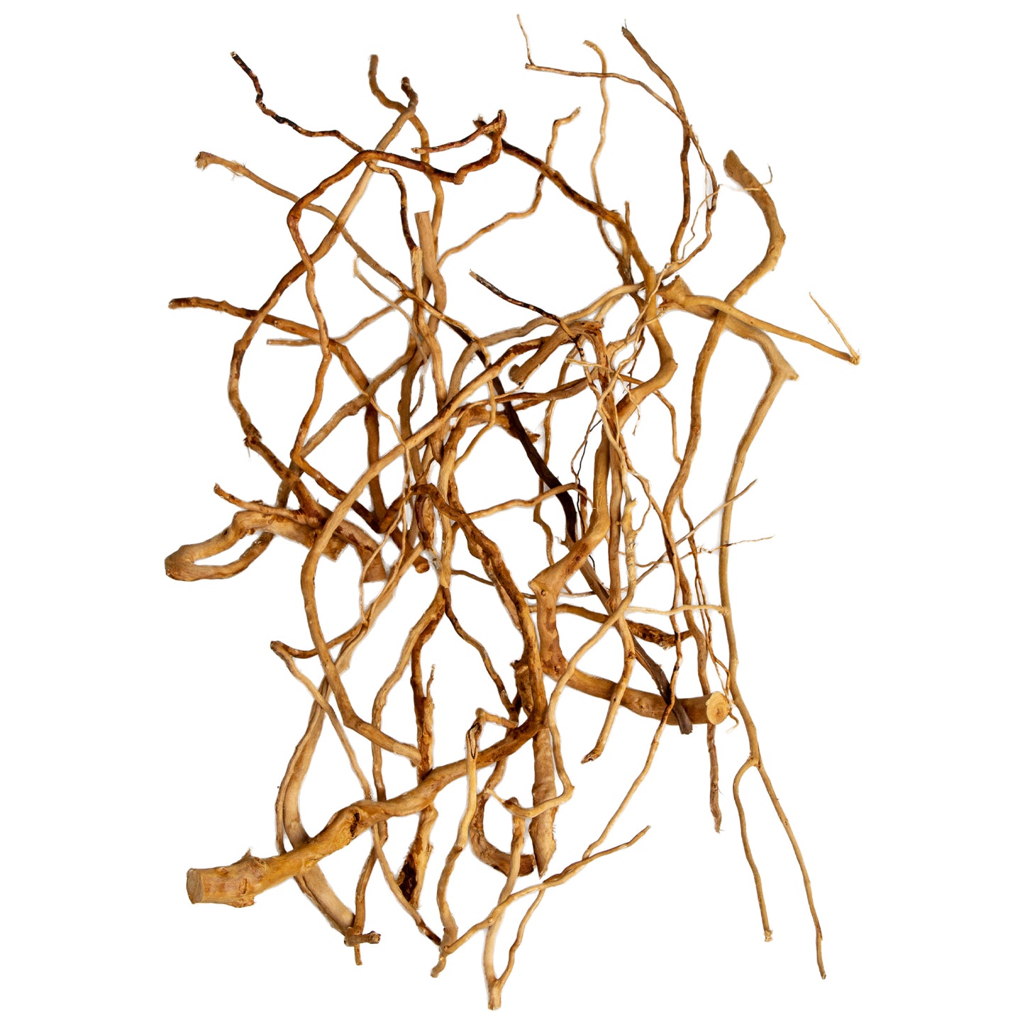 Natural Wood Root Branches, 6 oz / 170 g Aquarium Driftwood Set, 8–16 Inch Roots & Branches for Aquascaping and Terrariums