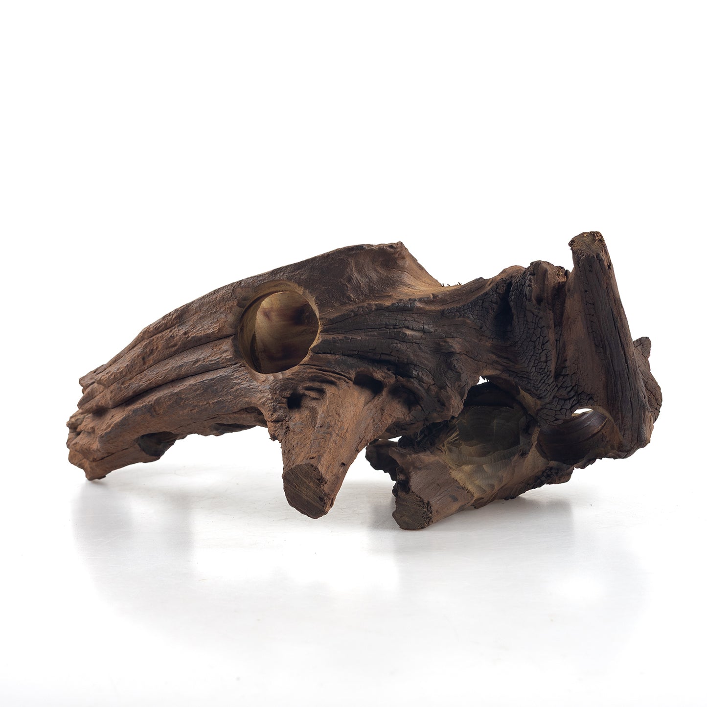 WYSIWYG Premium Natural Driftwood for Aquascaping – Exact Piece Shown A5
