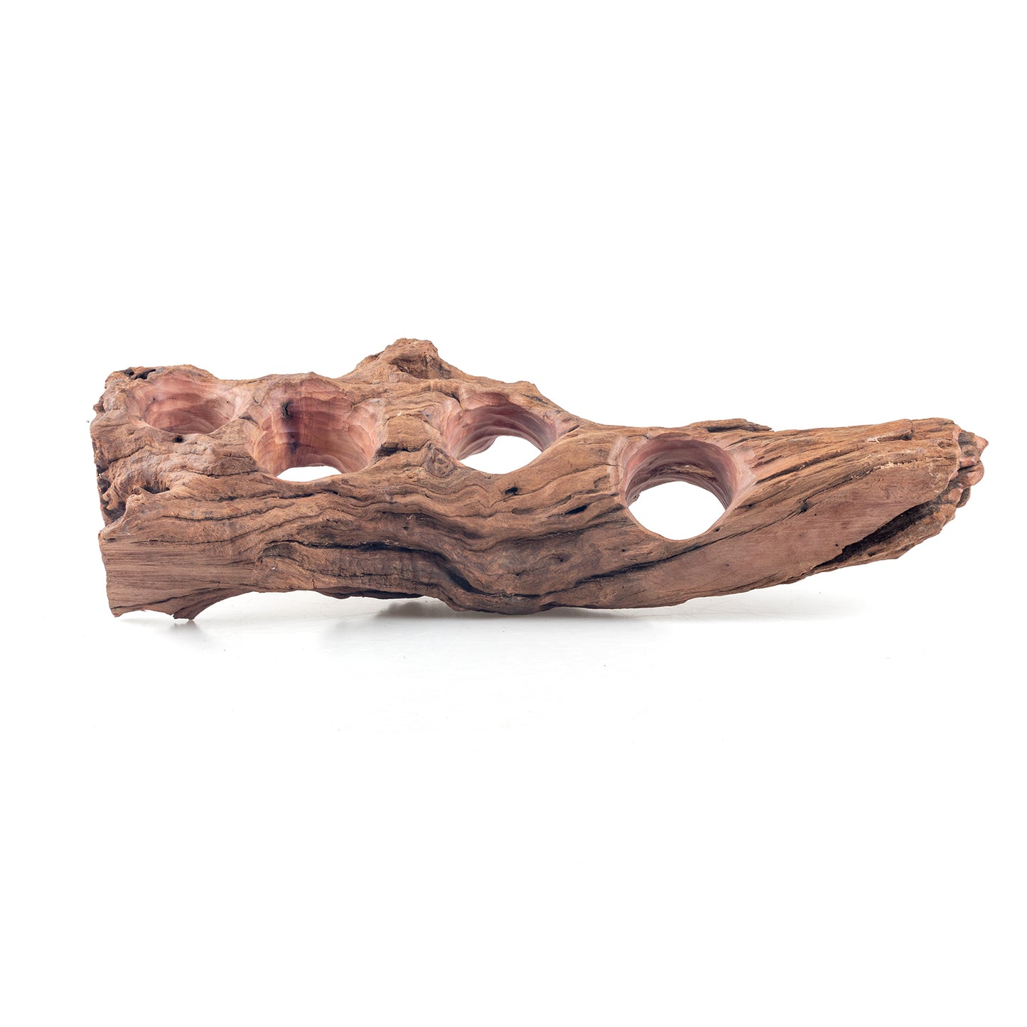 WYSIWYG Premium Natural Driftwood for Aquascaping – Exact Piece Shown A8