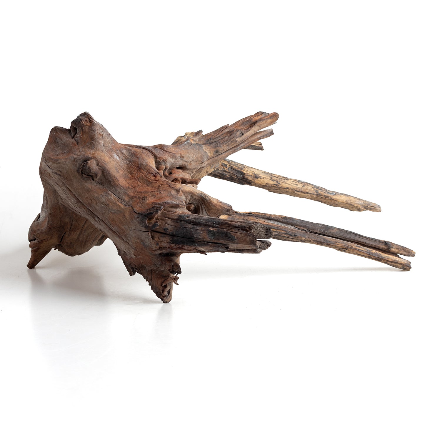 WYSIWYG Premium Natural Driftwood for Aquascaping – Exact Piece Shown A7
