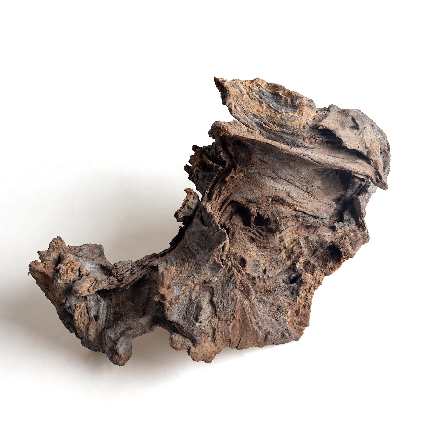 WYSIWYG Premium Natural Driftwood for Aquascaping – Exact Piece Shown A14